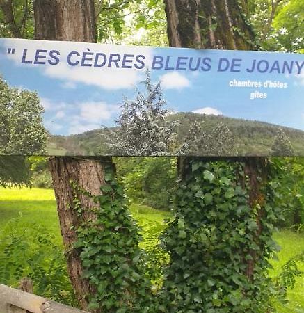 Les Cedres Bleus De Joany Hotel Viviez Exterior photo