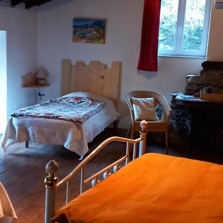 Les Cedres Bleus De Joany Hotel Viviez Exterior photo