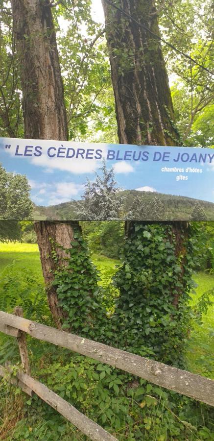 Les Cedres Bleus De Joany Hotel Viviez Exterior photo