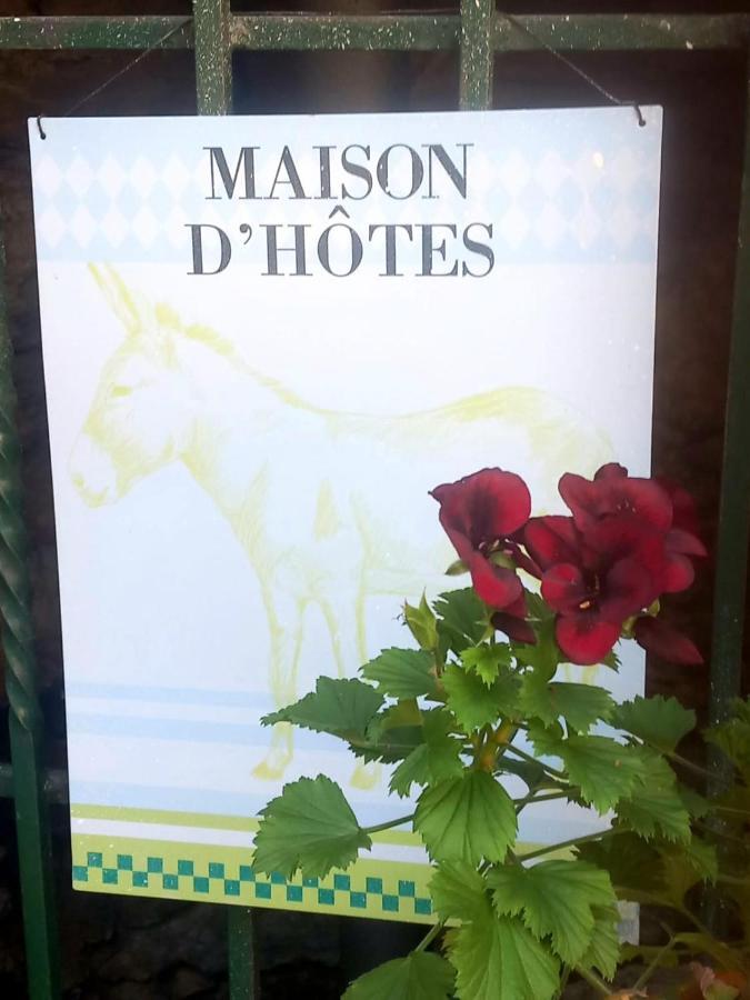 Les Cedres Bleus De Joany Hotel Viviez Exterior photo