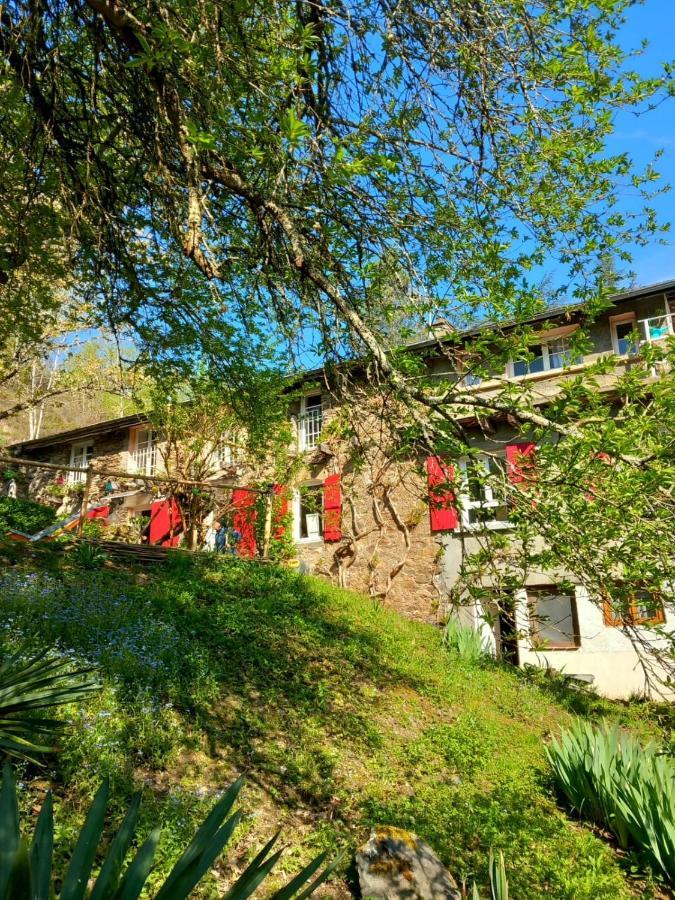 Les Cedres Bleus De Joany Hotel Viviez Exterior photo