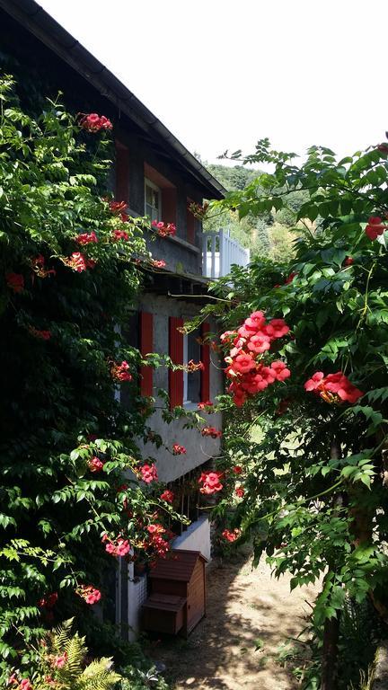 Les Cedres Bleus De Joany Hotel Viviez Exterior photo